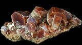 Large Deep Red Vanadinite Crystals on Matrix - Morocco #42162-1